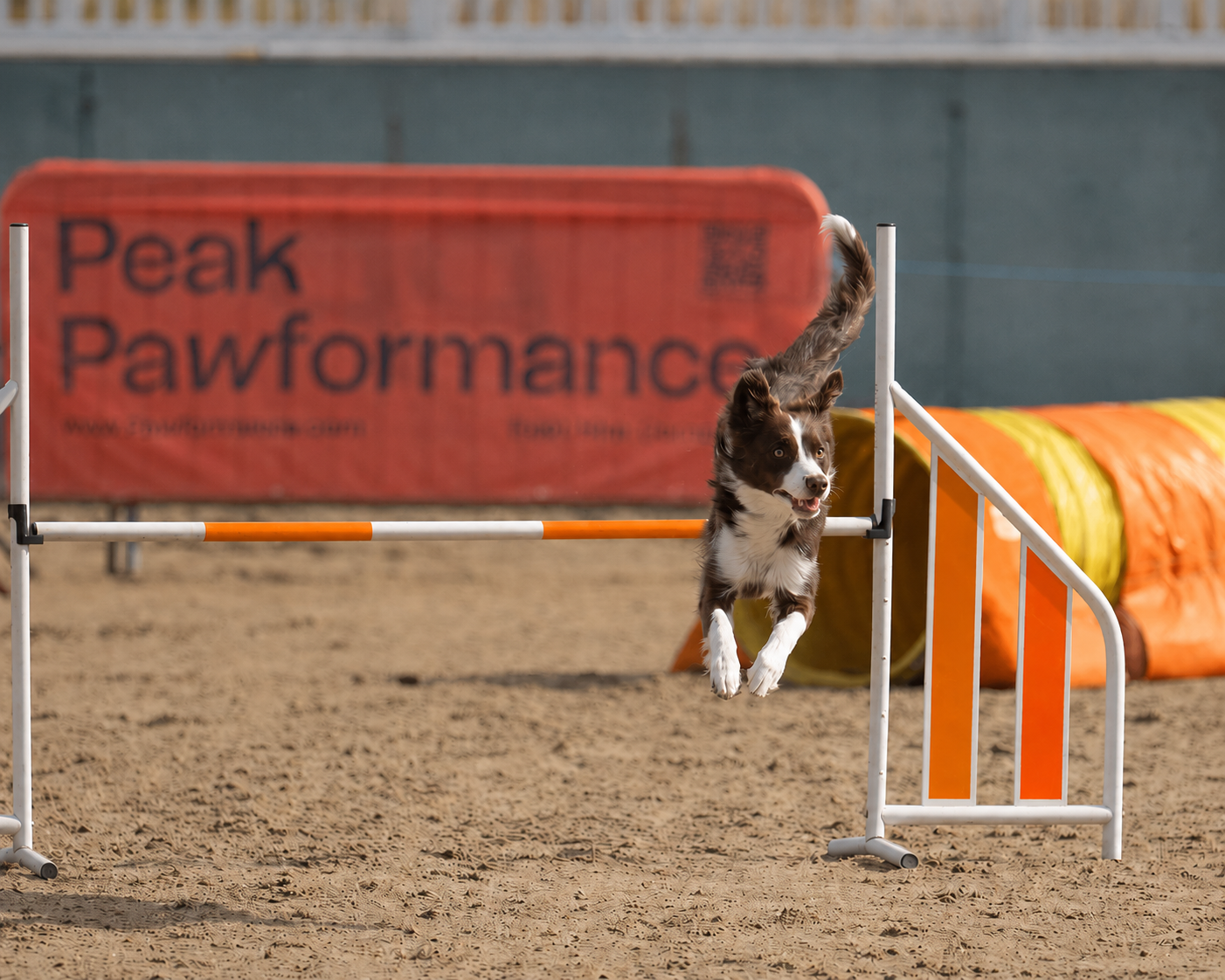 Peak Pawformance banner